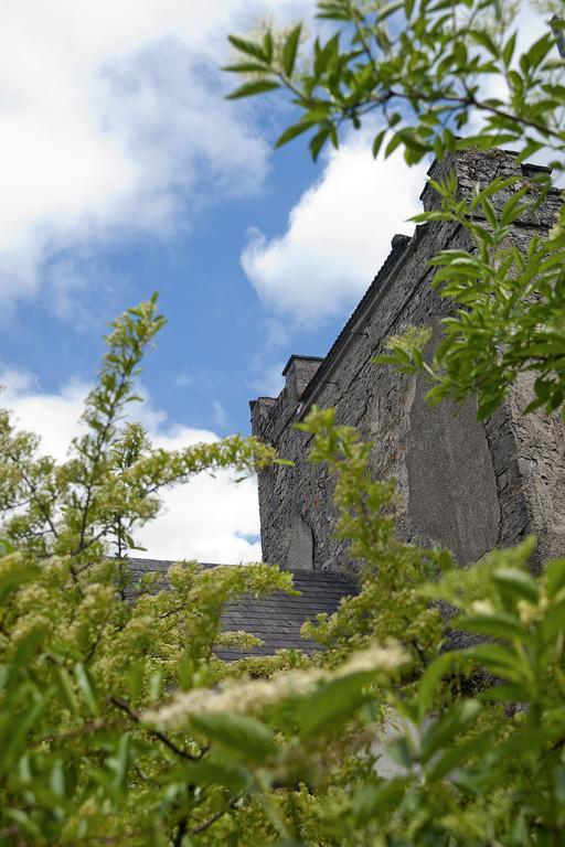 Finnstown Castle Hotel Lucan Kültér fotó